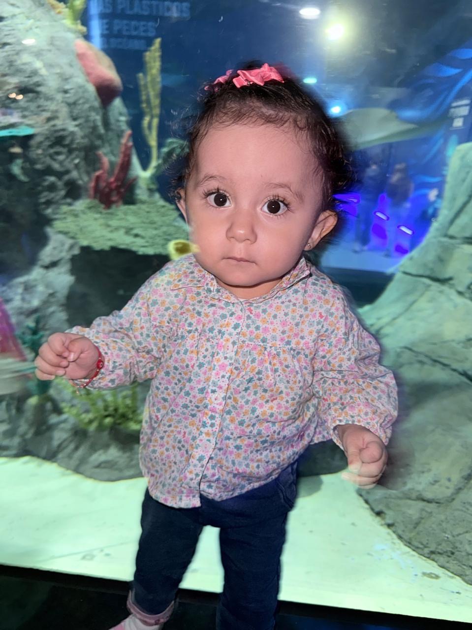 Nirvana en el acuario